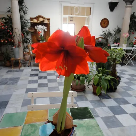 Hotel La Casa Grande